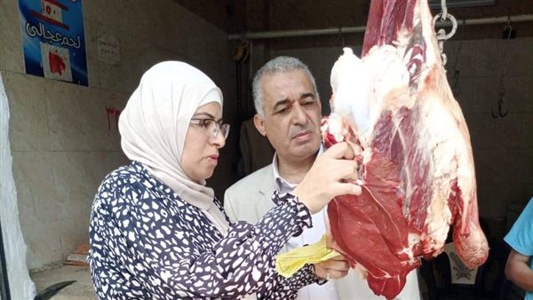 حملات تفتيشية بالمنيا