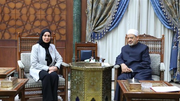 شيخ الأزهر وسفيرة