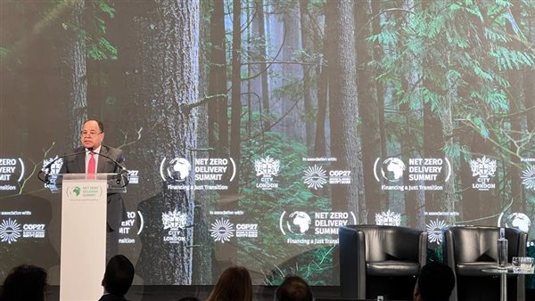 محمد معيط وزير المالية