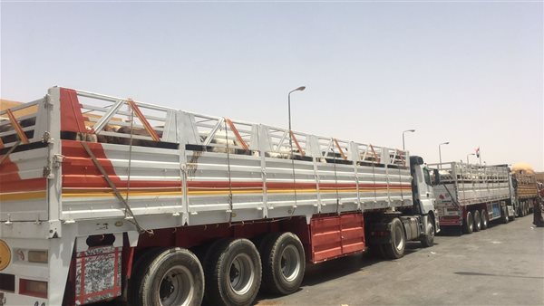 استيراد مواشي