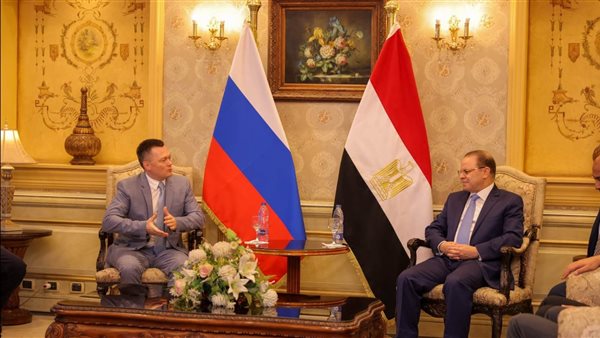 المستشار حماده الصاوي