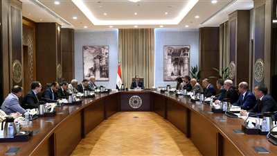 رئيس الوزراء يلتقي عددا من المطورين العقاريين لمناقشة وبحث سبل دعم القطاع العقاري