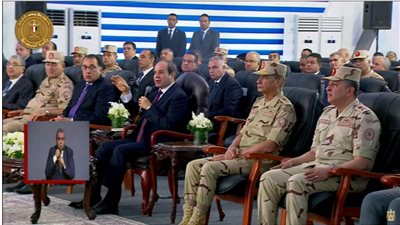 السيسي لـ رئيس الشركة المنفذة لمجمع مصانع إنتاج الكوارتز: كل الإجراءات الإدارية المطلوبة هتخلص إمبارح مش النهاردة