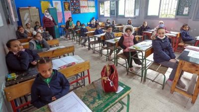 رابط نتيجة الصف الرابع الابتدائي محافظة القليوبية 2023.. تظهر في المدارس فقط