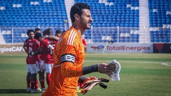 محمد الشناوي 