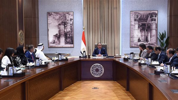 رئيس الوزراء يلتقي