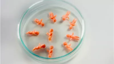 علماء يابانيون: ولادة الأطفال في المختبر ستصبح حقيقة بحلول عام 2028