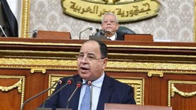 المالية تدعو مسؤوليها للمشاركة في وضع خطط لزيادة الحصيلة الدولارية | مستند