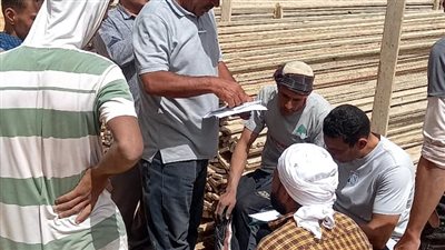 القوى العاملة: حصر العمالة غير المنتظمة بالوادي الجديد لتسجيلهم بقاعدة بيانات المديرية 