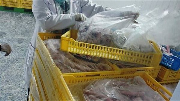 جانب من الحملات