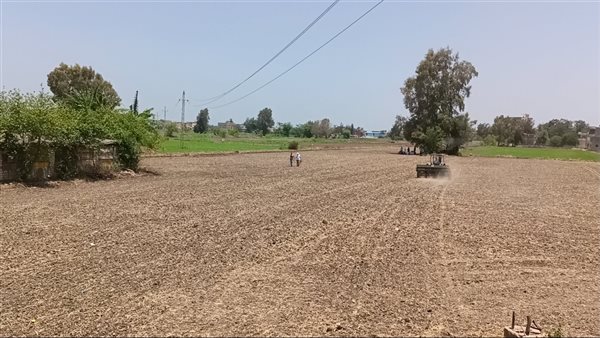 طريقة جديدة لزراعة