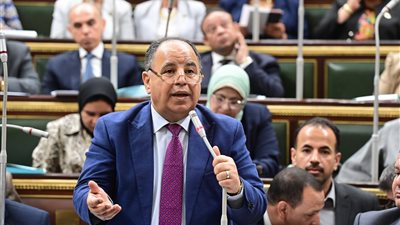 إلزام وزارة المالية بتحمل قيمة الضريبة على بعض العقارات في مشروع قانون بالبرلمان