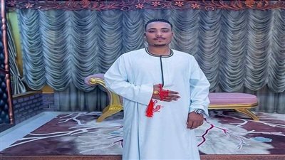 حبس 6 متهمين من أعوان مستريح السيارات بأسوان سنتين