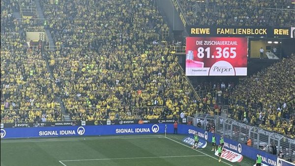 جماهير بوروسيا دورتموند