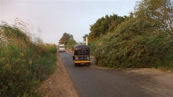 سقوط أشجار بسبب سوء