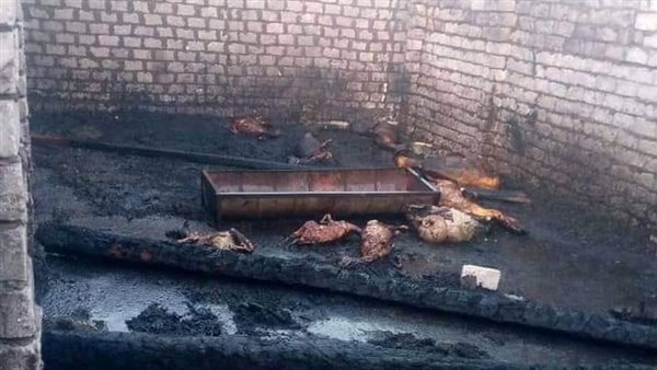 حريق الوادي الجديد