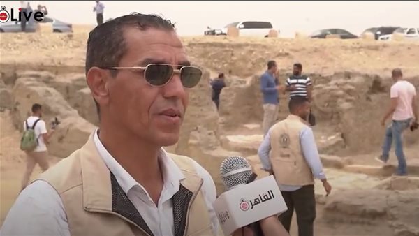 فارس الشيمي، عضو