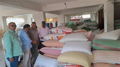 ضبط 65 طن قمح قبل بيعها في السوق السوداء بكفر الشيخ 