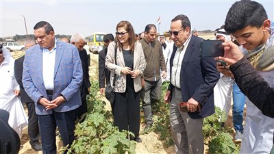 التنمية المحلية: 904 مشروعات في شمال سيناء من 2014 حتى 2022 بتكلفة 31 مليار جنيه