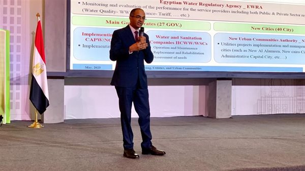 د. سيد اسماعيل 