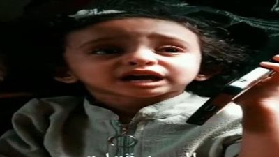 القطة قتلت العصفور.. طفلة يمنية تنهار وتثير حالة من التعاطف على مواقع التواصل الاجتماعي