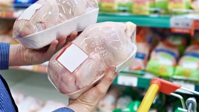 زيادة جديدة في أسعار الدواجن اليوم الأحد