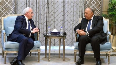 شكري يؤكد متابعة مصر بقلق بالغ تصاعد وتيرة العنف ضد أبناء الشعب الفلسطيني