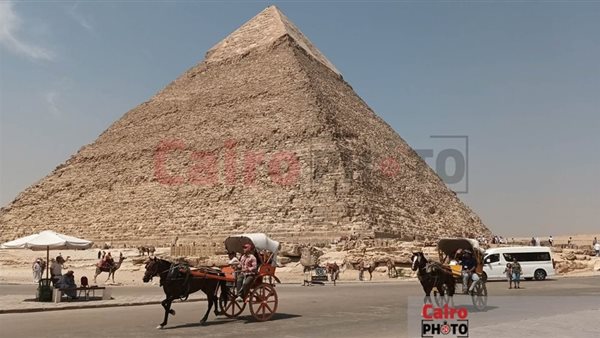  الخيل بأهرامات الجيزة