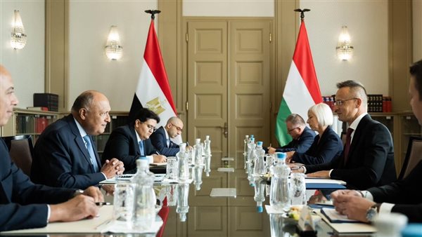 وزير الخارجية ونظيره