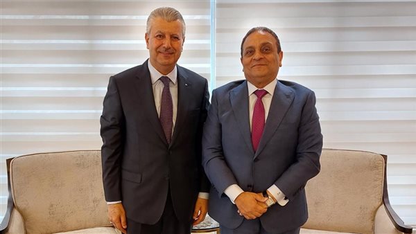 الأمينا العامين لمجلس