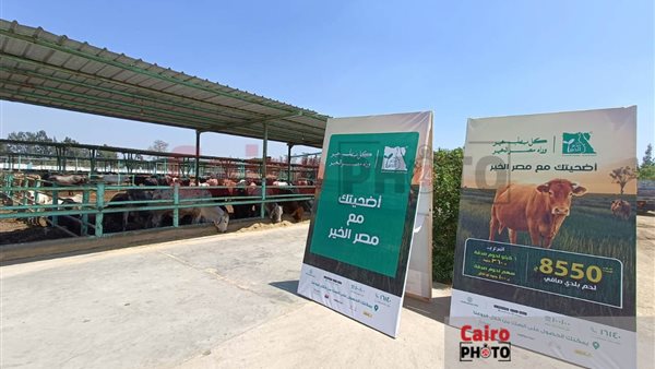 البنوك تتيح شراء