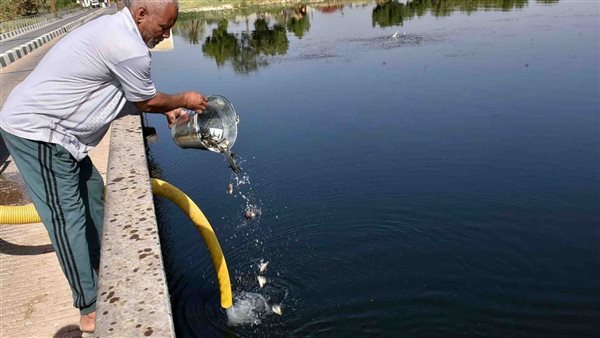 إلقاء ذريعة بلطي