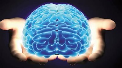 انقطاع النفس أثناء النوم يرتبط بصغر حجم الدماغ | دراسة 