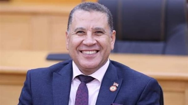 الدكتور محمد مهنى