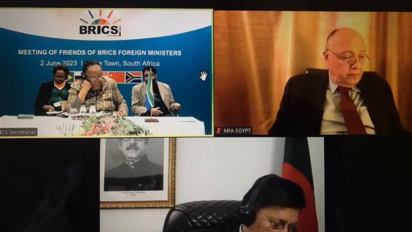 وزير الخارجية يشارك