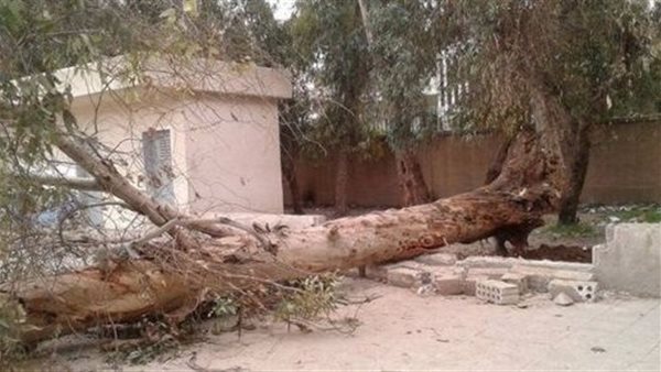 صورة تعبيرية 