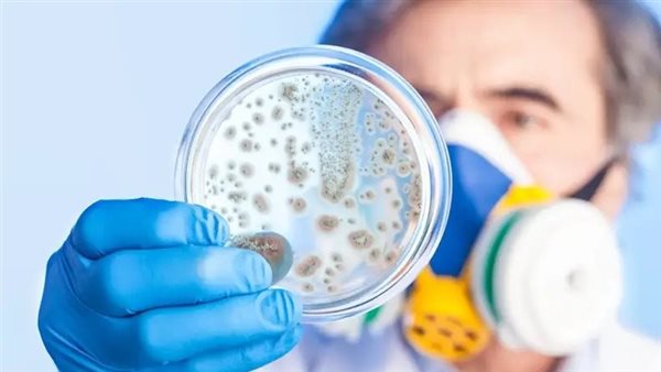 سلامة الغذاء 