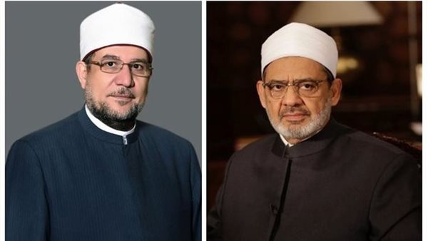 شيخ الأزهر ووزير