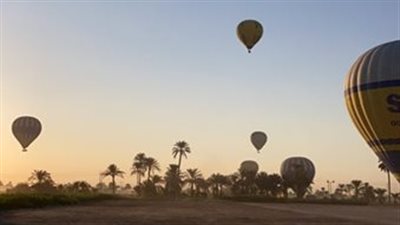 25 رحلة بالون طائر على متنها 600 سائح بسماء الأقصر صباح اليوم