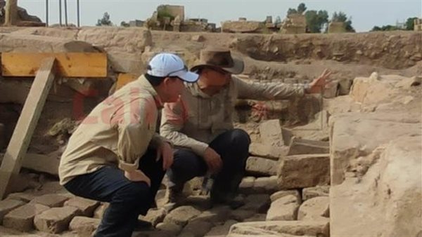 نائب وزير الثقافة