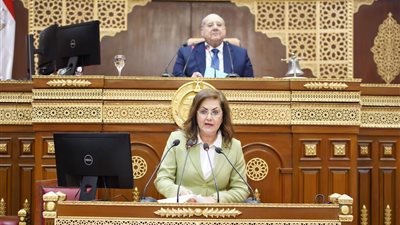 وزيرة التخطيط تستعرض مستهدفات واستثمارات قطاعي الكهرباء والنقل بخطة 2023/2024 