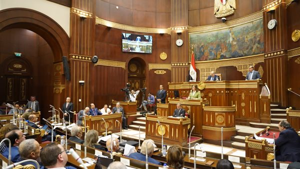 وزيرة التخطيط