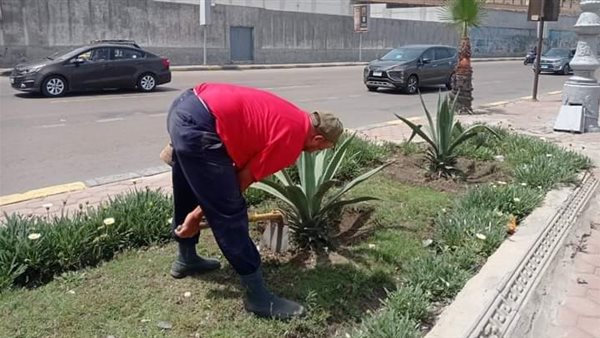 تجهيز الحدائق والمتنزهات