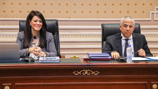 رانيا المشاط وزيرة