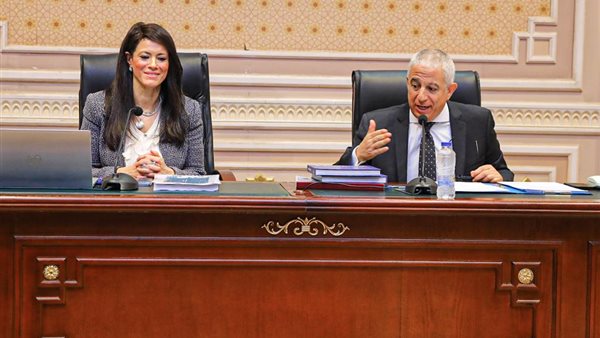 وزيرة التعاون الدولي