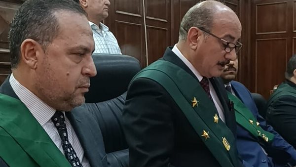 جنايات المحلة 