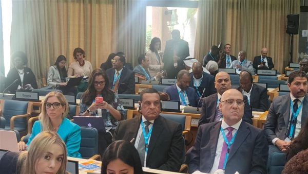 وزيرا التنمية المحلية