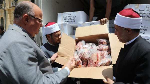 محافظ القاهرة يتفقد