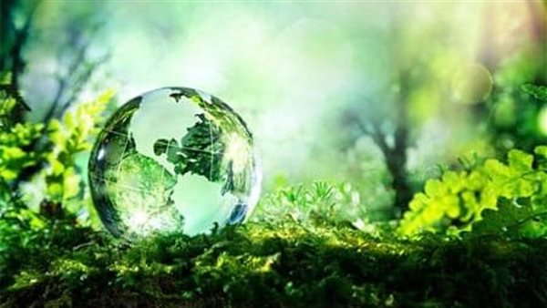 اليوم العالمي للبيئة