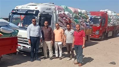 ضبط 194 طن قمح في موقع تجميع غير رسمي بالبحيرة